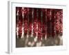 Chili Ristras, Chimayo, New Mexico, USA-Michael Snell-Framed Photographic Print
