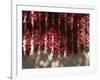 Chili Ristras, Chimayo, New Mexico, USA-Michael Snell-Framed Photographic Print