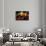 Chili-Fabio Petroni-Framed Stretched Canvas displayed on a wall