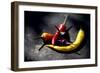 Chili-Fabio Petroni-Framed Photographic Print