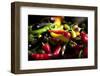 Chili-Fabio Petroni-Framed Photographic Print