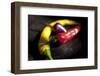 Chili-Fabio Petroni-Framed Photographic Print