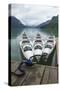 Chilkoot Lake, Kayaks at the Dock Haines, Alaska-Michael Qualls-Stretched Canvas