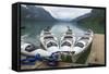 Chilkoot Lake, Southeast Alaska. Kayaks at the Dock-Michael Qualls-Framed Stretched Canvas
