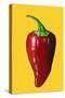 ‘Chilli’  acrylic on board-Sarah Thompson-Engels-Stretched Canvas