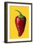 ‘Chilli’  acrylic on board-Sarah Thompson-Engels-Framed Giclee Print