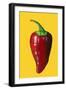 ‘Chilli’  acrylic on board-Sarah Thompson-Engels-Framed Giclee Print