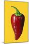 ‘Chilli’  acrylic on board-Sarah Thompson-Engels-Mounted Giclee Print