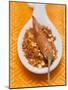 Chilli Flakes and Dried Chilli on Spoon-Eising Studio - Food Photo and Video-Mounted Photographic Print