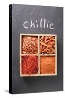 Chilli Flakes, Chillies, Chilli Powder, Chilli Threads in Type Case-Eising Studio - Food Photo and Video-Stretched Canvas