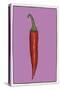 Chilli pepper purple-Sarah Thompson-Engels-Stretched Canvas