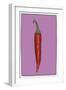 Chilli pepper purple-Sarah Thompson-Engels-Framed Giclee Print