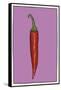 Chilli pepper purple-Sarah Thompson-Engels-Framed Stretched Canvas