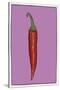 Chilli pepper purple-Sarah Thompson-Engels-Stretched Canvas