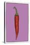 Chilli pepper purple-Sarah Thompson-Engels-Stretched Canvas