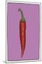 Chilli pepper purple-Sarah Thompson-Engels-Mounted Giclee Print