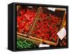 Chilli Peppers, Ferry Building Farmer's Market, San Francisco, California, USA-Inger Hogstrom-Framed Stretched Canvas