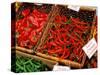 Chilli Peppers, Ferry Building Farmer's Market, San Francisco, California, USA-Inger Hogstrom-Stretched Canvas