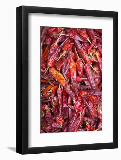 Chilli Peppers in the Market, Monywa, Sagaing, Myanmar, Southeast Asia-Alex Robinson-Framed Photographic Print