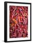 Chilli Peppers in the Market, Monywa, Sagaing, Myanmar, Southeast Asia-Alex Robinson-Framed Photographic Print