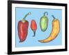 Chilli Peppers-Sarah Thompson-Engels-Framed Premium Giclee Print