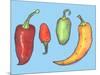 Chilli Peppers-Sarah Thompson-Engels-Mounted Giclee Print