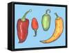 Chilli Peppers-Sarah Thompson-Engels-Framed Stretched Canvas