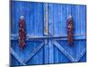 Chilli Ristra Hanging in Old Town Albuquerque, New Mexico-Michael DeFreitas-Mounted Premium Photographic Print