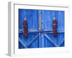 Chilli Ristra Hanging in Old Town Albuquerque, New Mexico-Michael DeFreitas-Framed Photographic Print