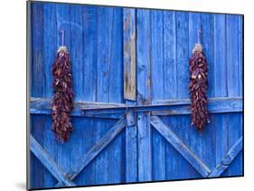 Chilli Ristra Hanging in Old Town Albuquerque, New Mexico-Michael DeFreitas-Mounted Photographic Print
