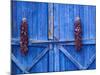 Chilli Ristra Hanging in Old Town Albuquerque, New Mexico-Michael DeFreitas-Mounted Photographic Print