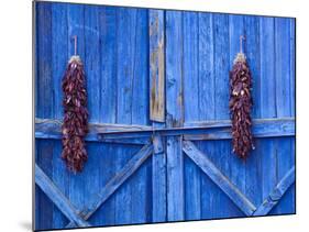 Chilli Ristra Hanging in Old Town Albuquerque, New Mexico-Michael DeFreitas-Mounted Photographic Print