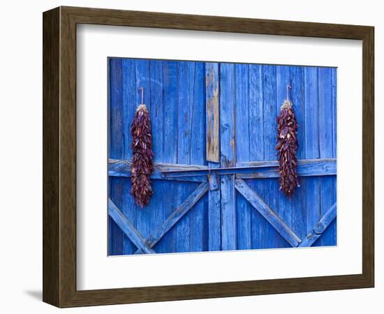 Chilli Ristra Hanging in Old Town Albuquerque, New Mexico-Michael DeFreitas-Framed Photographic Print