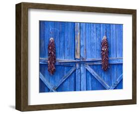 Chilli Ristra Hanging in Old Town Albuquerque, New Mexico-Michael DeFreitas-Framed Photographic Print