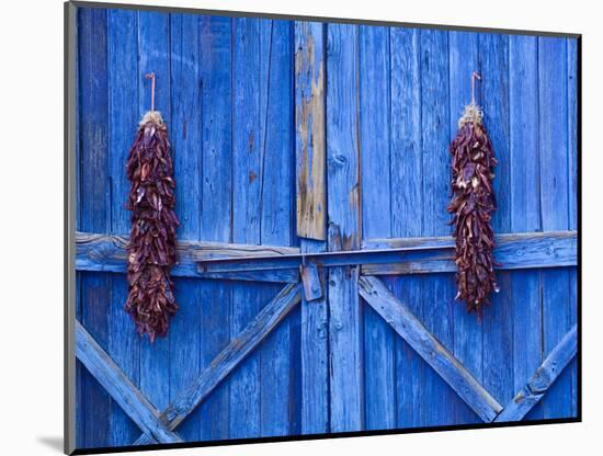 Chilli Ristra Hanging in Old Town Albuquerque, New Mexico-Michael DeFreitas-Mounted Photographic Print