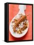 Chilli Salt with Dried Chilli on Spoon-Eising Studio - Food Photo and Video-Framed Stretched Canvas