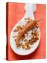 Chilli Salt with Dried Chilli on Spoon-Eising Studio - Food Photo and Video-Stretched Canvas