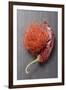 Chilli Threads and Dried Red Chilli-Eising Studio - Food Photo and Video-Framed Photographic Print