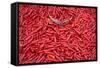 Chillies at Sunday Market at Bac Ha, Vietnam, Indochina, Southeast Asia, Asia-Bruno Morandi-Framed Stretched Canvas