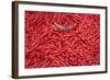 Chillies at Sunday Market at Bac Ha, Vietnam, Indochina, Southeast Asia, Asia-Bruno Morandi-Framed Photographic Print