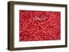 Chillies at Sunday Market at Bac Ha, Vietnam, Indochina, Southeast Asia, Asia-Bruno Morandi-Framed Photographic Print