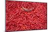 Chillies at Sunday Market at Bac Ha, Vietnam, Indochina, Southeast Asia, Asia-Bruno Morandi-Mounted Photographic Print