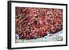 Chillies for Sale at Hsipaw (Thibaw) Market, Shan State, Myanmar (Burma), Asia-Matthew Williams-Ellis-Framed Photographic Print