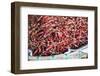 Chillies for Sale at Hsipaw (Thibaw) Market, Shan State, Myanmar (Burma), Asia-Matthew Williams-Ellis-Framed Photographic Print