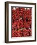 Chillies for Sales, Santa Fe, New Mexico, United States of America, North America-Richard Maschmeyer-Framed Photographic Print