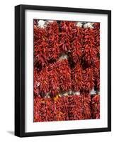 Chillies for Sales, Santa Fe, New Mexico, United States of America, North America-Richard Maschmeyer-Framed Photographic Print