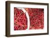 Chillies in Bukittinggi Market, West Sumatra, Indonesia, Southeast Asia, Asia-Matthew Williams-Ellis-Framed Photographic Print