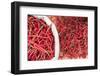 Chillies in Bukittinggi Market, West Sumatra, Indonesia, Southeast Asia, Asia-Matthew Williams-Ellis-Framed Photographic Print