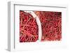 Chillies in Bukittinggi Market, West Sumatra, Indonesia, Southeast Asia, Asia-Matthew Williams-Ellis-Framed Photographic Print