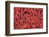 Chillies in Bukittinggi Market, West Sumatra, Indonesia, Southeast Asia, Asia-Matthew Williams-Ellis-Framed Photographic Print